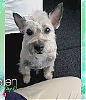 Filename=MeganFoxEllen0908.jpg
Filesize=43KiB
Dimensions=640x360
Date added=Dec 26, 2012 MeganFoxEllen0908.jpg
