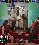 Filename=MeganFoxEllen1030.jpg
Filesize=53KiB
Dimensions=640x360
Date added=Dec 26, 2012 MeganFoxEllen1030.jpg