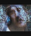 PPtrailerHD0147.jpg