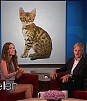 Filename=The_Ellen_DeGeneres_Show050514026.jpg
Filesize=72KiB
Dimensions=1280x720
Date added=May 06, 2014 The_Ellen_DeGeneres_Show050514026.jpg