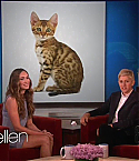 Filename=The_Ellen_DeGeneres_Show050514027.jpg
Filesize=73KiB
Dimensions=1280x720
Date added=May 06, 2014 The_Ellen_DeGeneres_Show050514027.jpg